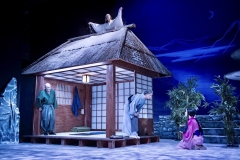 Kranich_im_Schnee_1353_Web